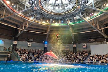 マクセル アクアパーク品川に投稿された画像（2021/11/23）