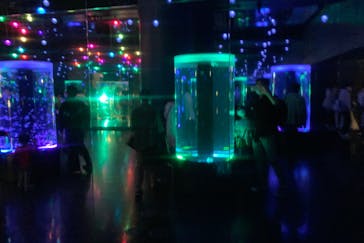 マクセル アクアパーク品川に投稿された画像（2021/11/23）