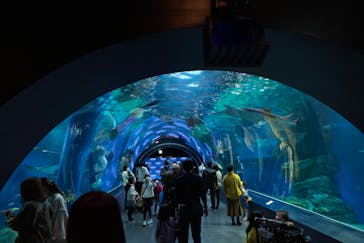 マクセル アクアパーク品川に投稿された画像（2021/11/23）