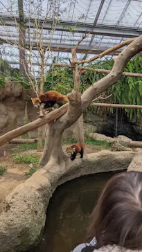 神戸どうぶつ王国に投稿された画像（2021/11/23）