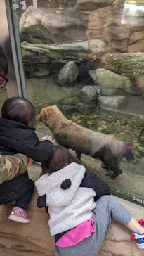 神戸どうぶつ王国に投稿された画像（2021/11/23）