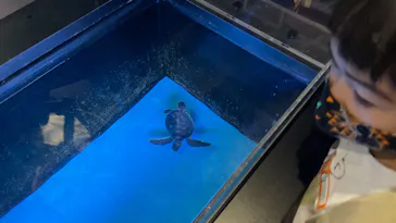 すみだ水族館に投稿された画像（2021/11/23）