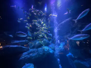 すみだ水族館に投稿された画像（2021/11/23）