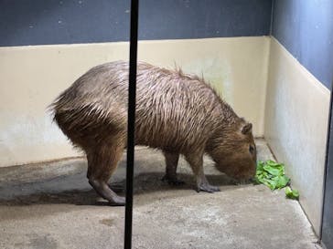 マクセル アクアパーク品川に投稿された画像（2021/11/23）