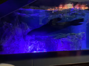 すみだ水族館に投稿された画像（2021/11/23）