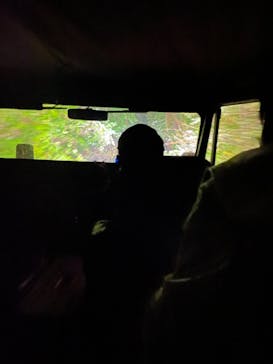 奄美ナイトツアーサービスに投稿された画像（2021/11/23）