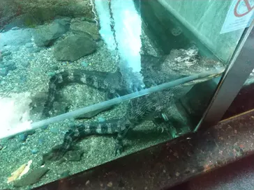 天王寺動物園に投稿された画像（2021/11/23）