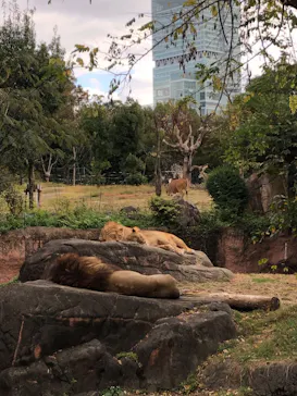 天王寺動物園に投稿された画像（2021/11/23）