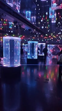 マクセル アクアパーク品川に投稿された画像（2021/11/23）