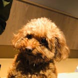 Moff animal world MARK IS みなとみらい店に投稿された画像（2021/11/23）