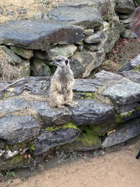 長崎バイオパークに投稿された画像（2021/11/23）