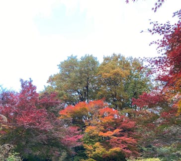 博物館 明治村に投稿された画像（2021/11/23）