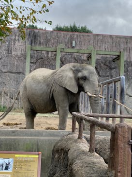 東武動物公園に投稿された画像（2021/11/23）
