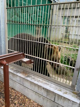 東武動物公園に投稿された画像（2021/11/23）