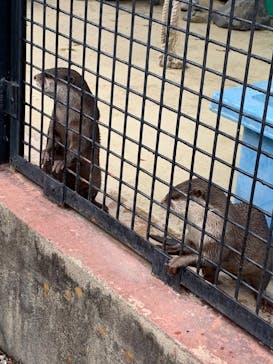 東武動物公園に投稿された画像（2021/11/23）