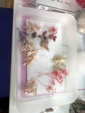 ずこうしつ〜sugamo〜に投稿された画像（2021/11/23）