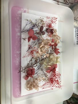 ずこうしつ〜sugamo〜に投稿された画像（2021/11/23）