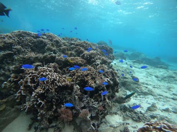 武藤潜水に投稿された画像（2021/11/23）