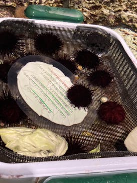 マリンワールド海の中道に投稿された画像（2021/11/23）