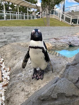 マリンワールド海の中道に投稿された画像（2021/11/23）