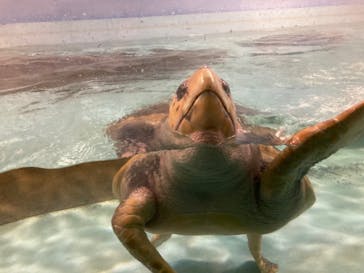 マリンワールド海の中道に投稿された画像（2021/11/23）