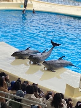 マリンワールド海の中道に投稿された画像（2021/11/23）