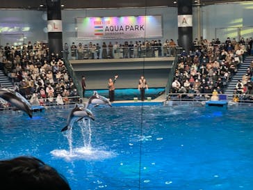 マクセル アクアパーク品川に投稿された画像（2021/11/23）