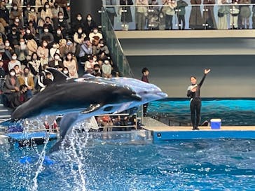 マクセル アクアパーク品川に投稿された画像（2021/11/23）