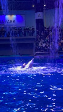 マクセル アクアパーク品川に投稿された画像（2021/11/23）
