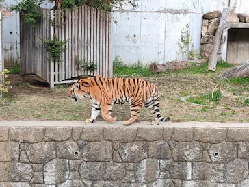 天王寺動物園に投稿された画像（2021/11/23）