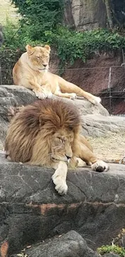天王寺動物園に投稿された画像（2021/11/23）