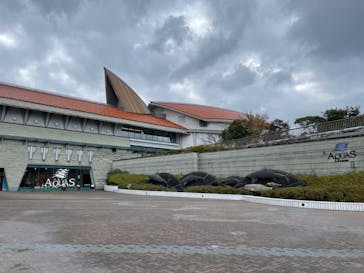島根県立 しまね海洋館に投稿された画像（2021/11/23）