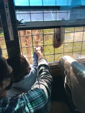 那須サファリパークに投稿された画像（2021/11/23）