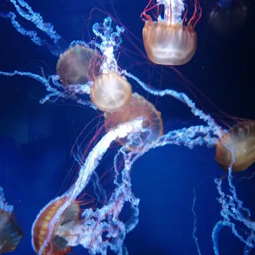 すみだ水族館に投稿された画像（2021/11/23）