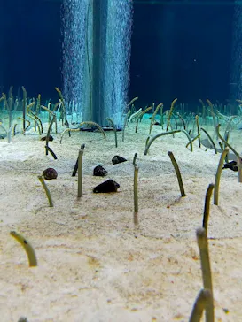 すみだ水族館に投稿された画像（2021/11/23）