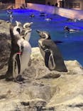 すみだ水族館に投稿された画像（2021/11/23）