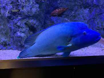 すみだ水族館に投稿された画像（2021/11/23）