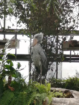 神戸どうぶつ王国に投稿された画像（2021/11/23）