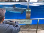 名古屋港水族館に投稿された画像（2021/11/23）