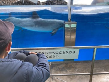 名古屋港水族館に投稿された画像（2021/11/23）