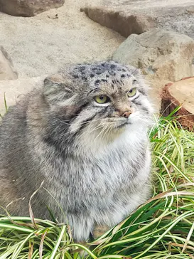 神戸どうぶつ王国に投稿された画像（2021/11/23）