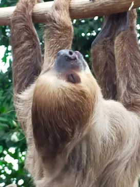 神戸どうぶつ王国に投稿された画像（2021/11/23）