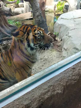 神戸どうぶつ王国に投稿された画像（2021/11/23）