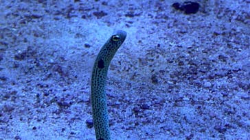 名古屋港水族館に投稿された画像（2021/11/23）