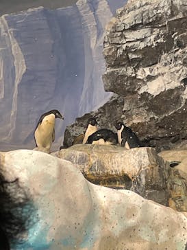 名古屋港水族館に投稿された画像（2021/11/23）