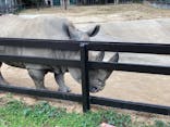 東武動物公園に投稿された画像（2021/11/23）
