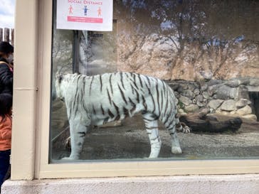 東武動物公園に投稿された画像（2021/11/23）