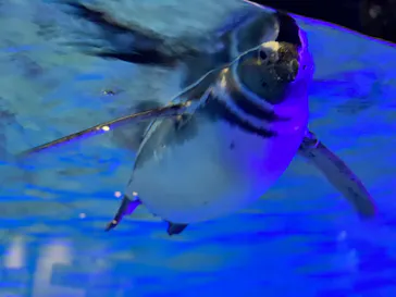 すみだ水族館に投稿された画像（2021/11/23）
