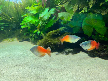 すみだ水族館に投稿された画像（2021/11/23）