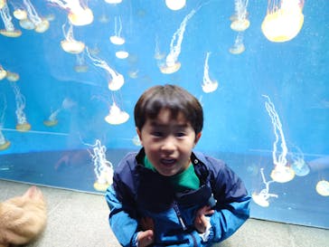 新江ノ島水族館に投稿された画像（2021/11/23）